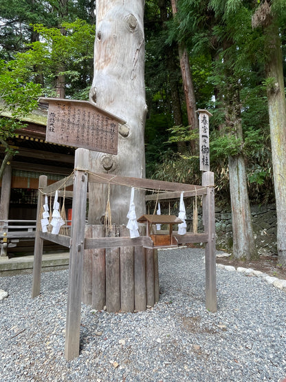 KOMERU TOUR 【11月24日〜25日】 諏訪神道SHINTO プレミアム　ガストロノミーツーリズム